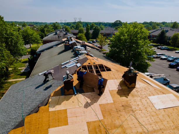 24/7 Emergency Roof Repair experts in Dundee, MI